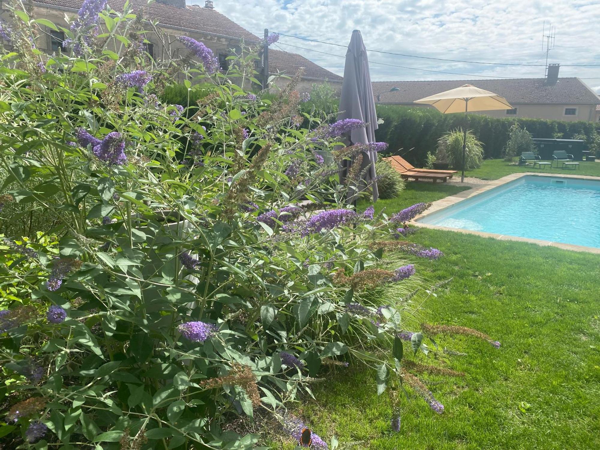 Le Chateau De Monthureux Le Sec מראה חיצוני תמונה